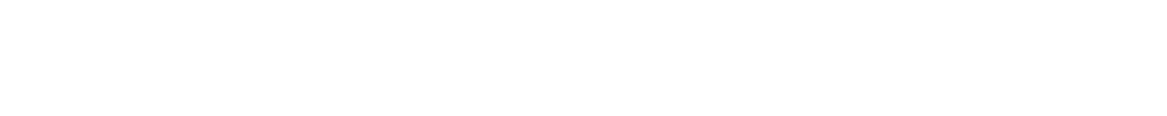 Östliches Gasprogramm