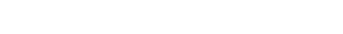 Östliches Gasprogramm