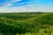 Gasverarbeitungswerk Amur