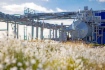 Programm auf dem Gebiet der Energieeffizienz und Energieeinsparung wurde gebilligt