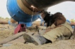 Schweißarbeiten an der Schieberstation der Gaspipeline Sachalin – Chabarowsk – Wladiwostok