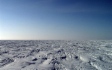 Gazprom ist die beste russische Energiegesellschaft im CDP-Klimaranking