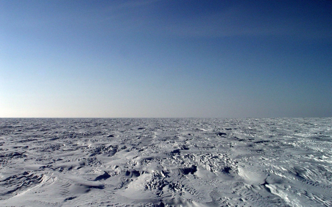 Gazprom ist die beste russische Energiegesellschaft im CDP-Klimaranking