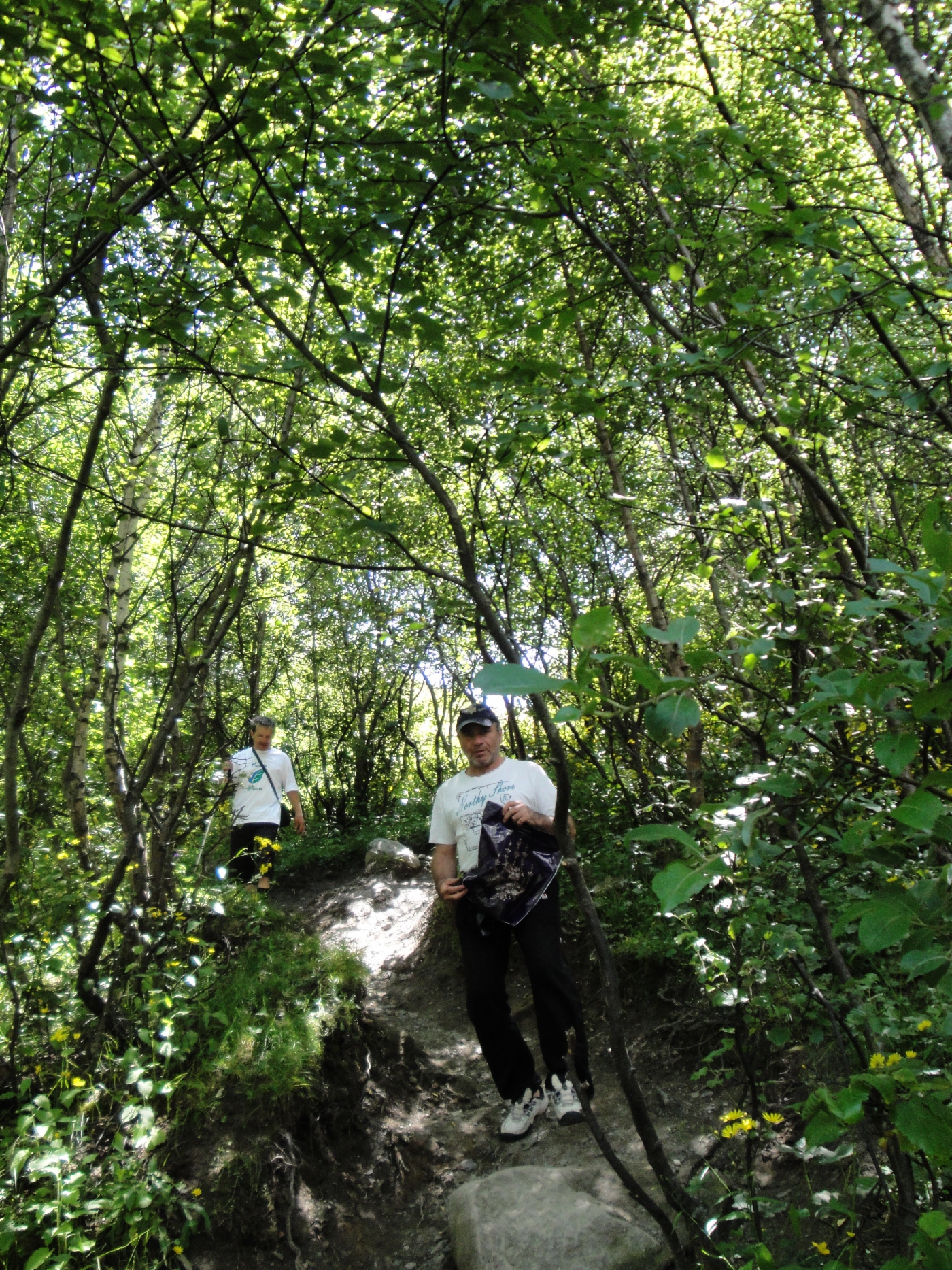 Schöner Abstieg vom Kloster durch den Wald zu Kazbegi (Stepanzminda). Es gibt überraschend viele gute Pilze