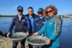 Insgesamt wurden 15.000 junge Karpfen von Ökologen des Gasverarbeitungswerkes Amur im Seja-Fluss freigesetzt