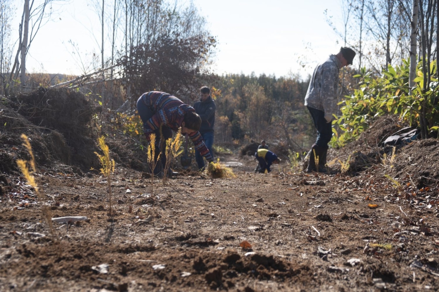 Teilnehmer der Aktion „Wald bewahren“