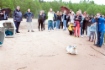 Als nächstes wurde das Weibchen Krjukowa, das im Krjukow-Kanal von Sankt Petersburg geborgen worden war, freigelassen