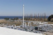 Gazprom und OMV diskutierten Zusammenarbeit im Rahmen des Nord Stream 2